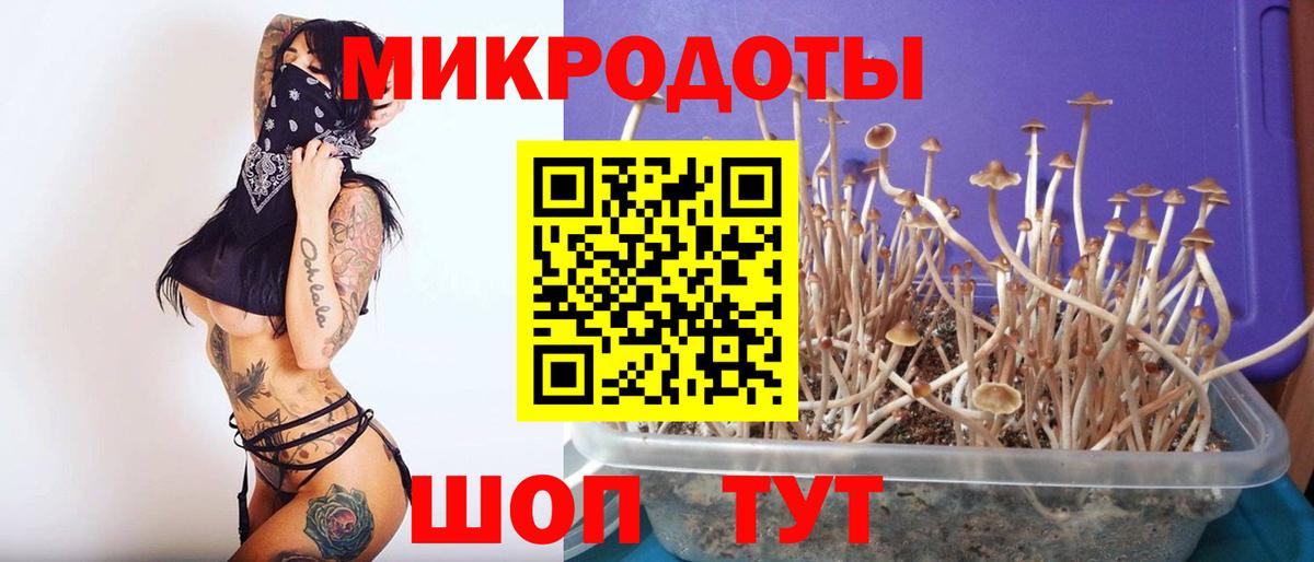 Псилоцибиновые грибы мицелий Ахтубинск