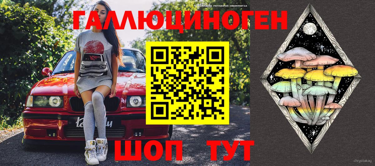 Псилоцибиновые грибы GOLDEN TEACHER  Вход с VPN  Ахтубинск  Галлюциногенные грибы мухоморы 